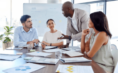 Project Managers